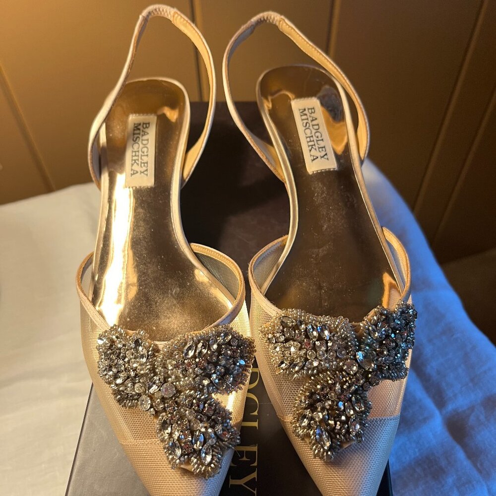 Badgley Mischka Pointed Toe, Kitten Heel Pale Pink Vera Embellished Pump, Size 8
